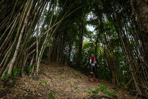 BIB: 
                            <button type="button" onclick="openModal(19396087)" class="btn btn-primary btn-sm float-right btn-popup" data-toggle="modal" data-target=".modal-high-quality">
                        <i class="fas fa-shopping-cart"></i> Add to Cart
                    </button>
                                            <button type="button" onclick="isThisMe(19396087, true)" class="btn btn-success btn-sm float-right btn-popup btn-isme hidden" data-toggle="tooltip" data-placement="bottom" title="นี่คือรูปของคุณใช่ไหม คลิกที่นี่เพื่อเอาเข้าอัลบั้ม">
                        <i class="fas fa-plus"></i> Add to album
                    </button>
                    <button type="button" onclick="isThisMe(19396087, false)" class="btn btn-warning btn-sm float-right btn-popup btn-isnotme hidden">
                        <i class="fas fa-ban"></i> Remove from album
                    </button>